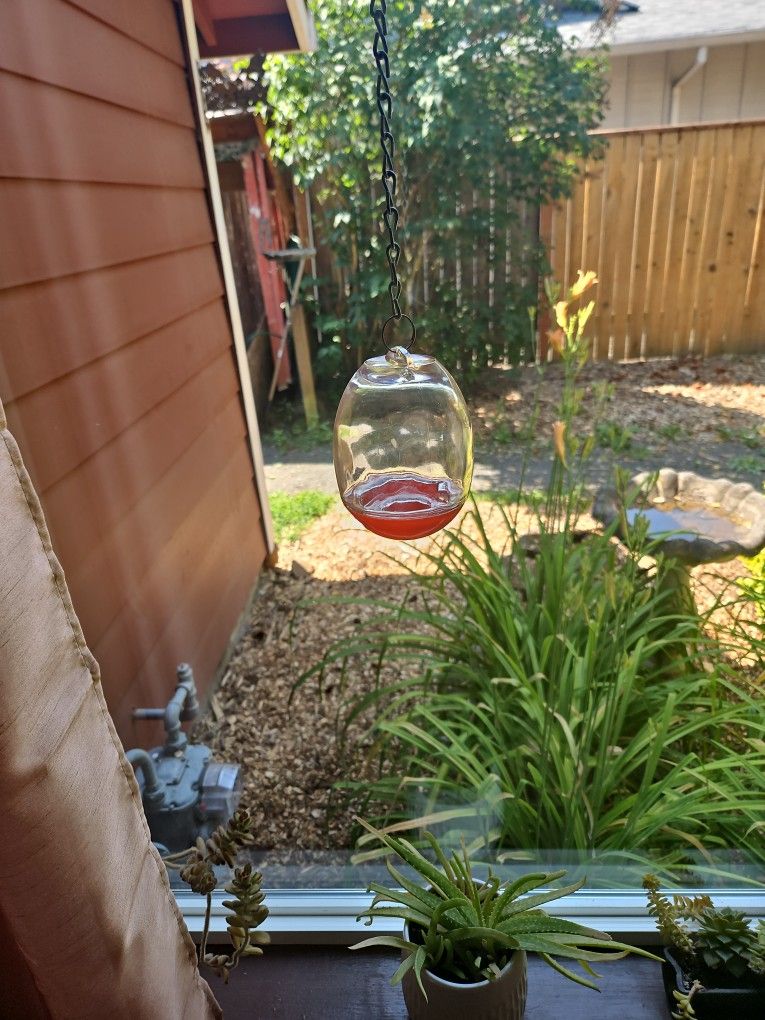 Glass Hummingbird Feeder