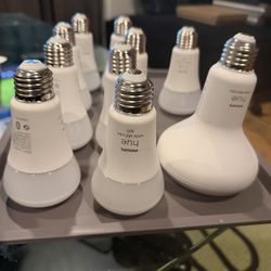 Philips Hue Bridge + Bulbs