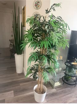 Pretty artificial plant 6 ft tall Bamboo tree !brand new