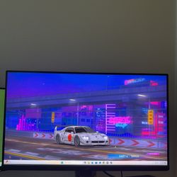 ASUS ROG Swift PG259QN 24.5" 360Hz Gaming Monitor + Premium Mount