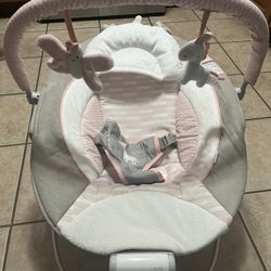 Baby Bouncer 