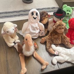 Beanie Baby Collection 