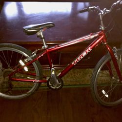 13”   Youth Trek Bike