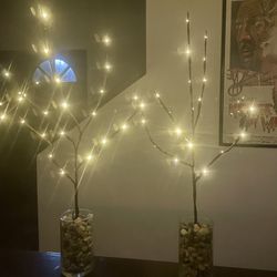 Lighted Willow Branches with Glass Vases
