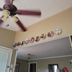 Grateful Dead Plates Complete Collection 