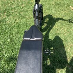 Rad Runner Bike $750