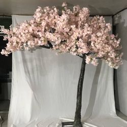 Cherryblossom Tree 9ft