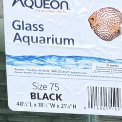 Fish Tank