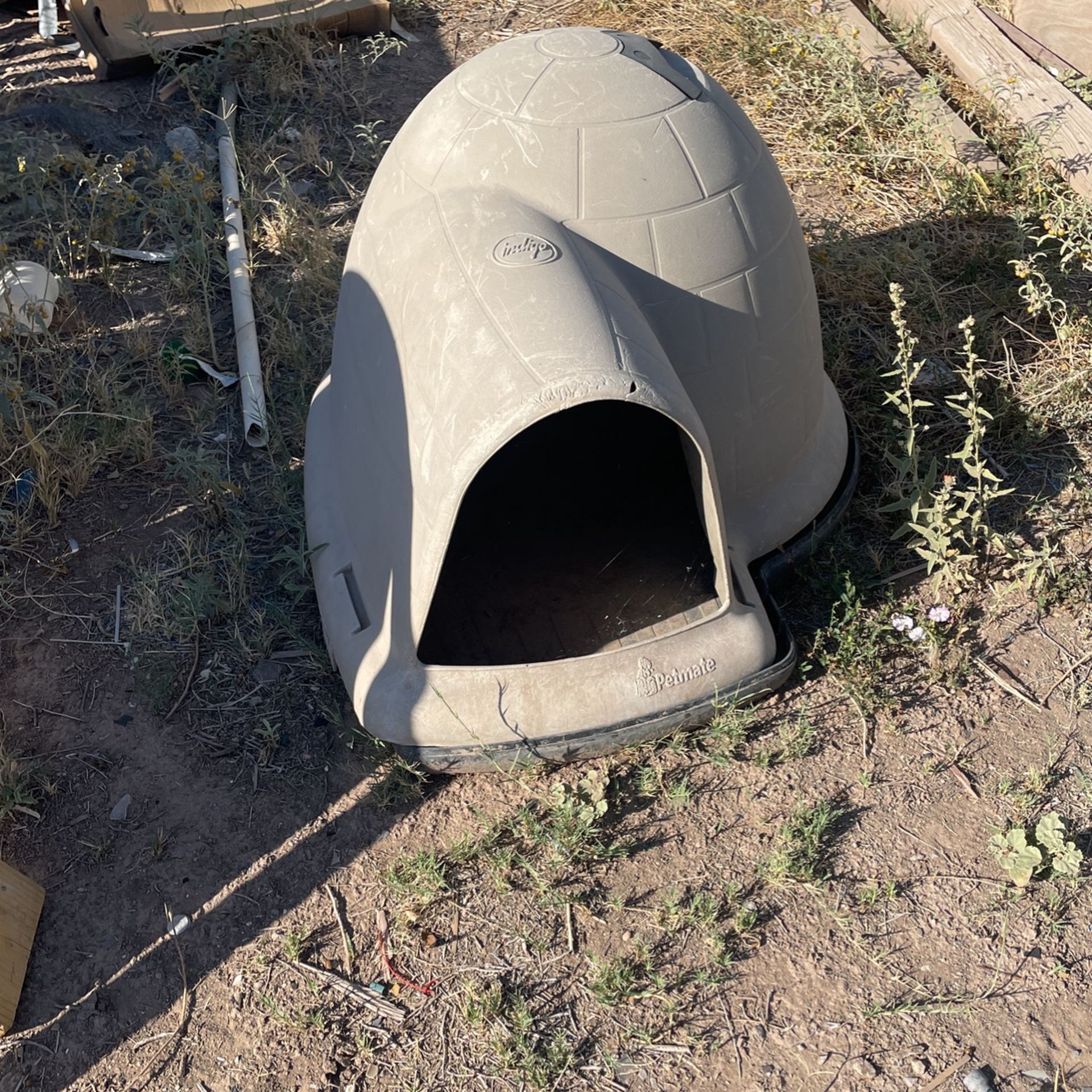 Permeate Igloo Paid 150 Used But In Good Condition Large