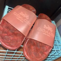 Coach Slides 