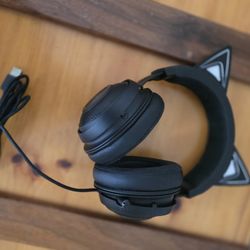 Kitty Ear Razer Headset and Razer Barracuda