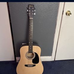 Acoustic Guitar