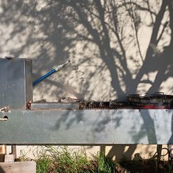 4 Station Taquero, Disco, Grill, Trompo 