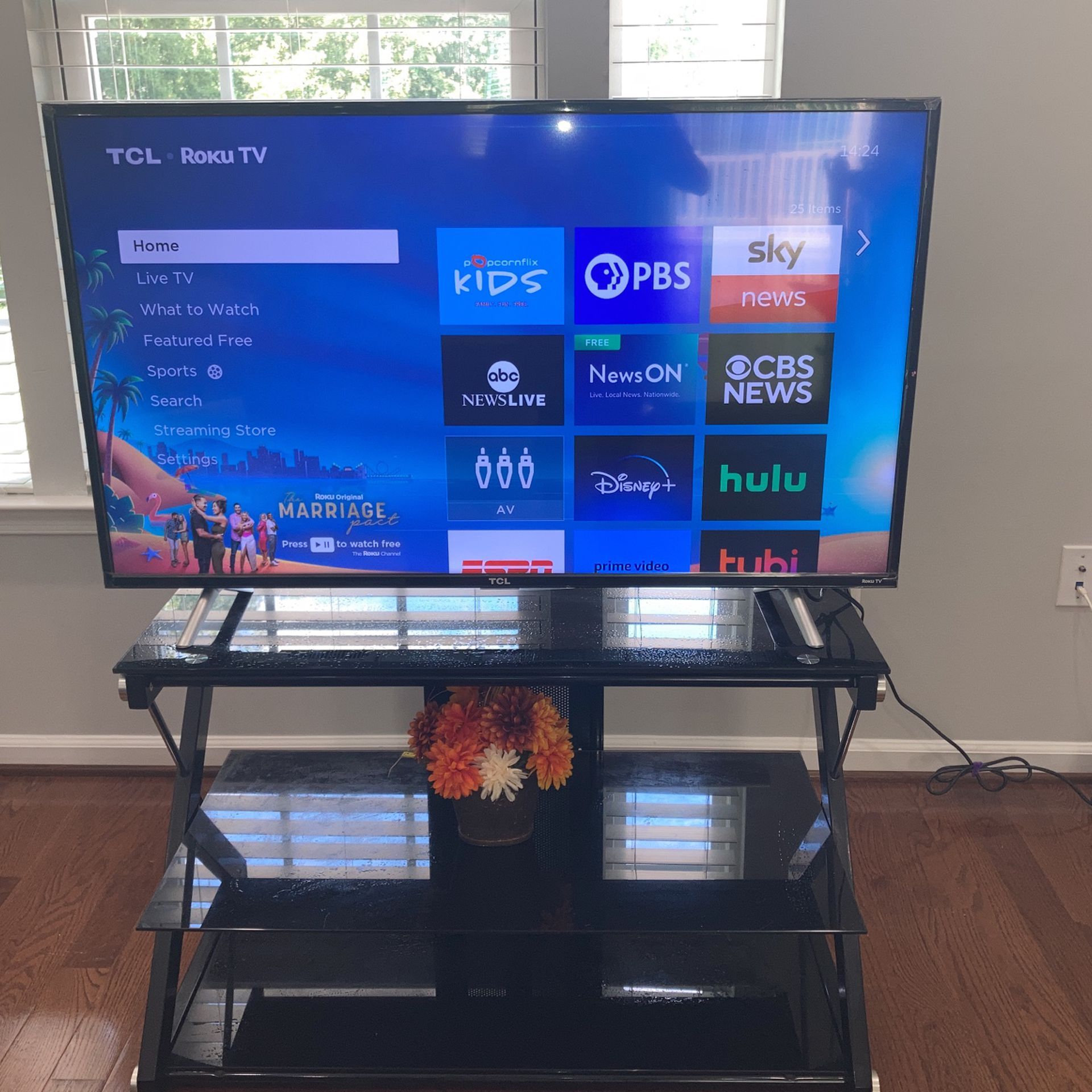 TCL 49 Inch TV & Stand
