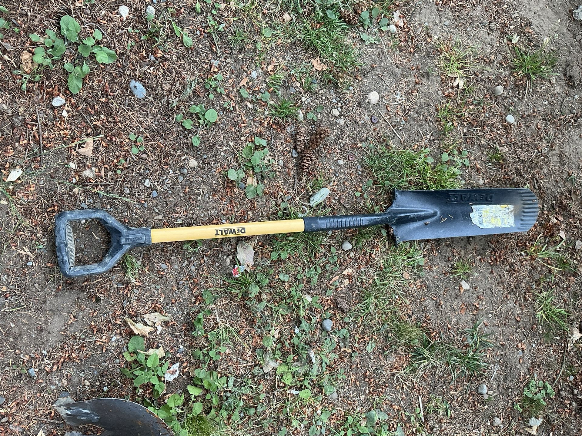 Shovel $10 (FINN HILL)