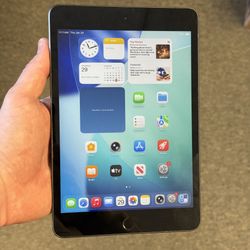 iPad Mini 5 64GB WiFi + Cellular Unlocked 