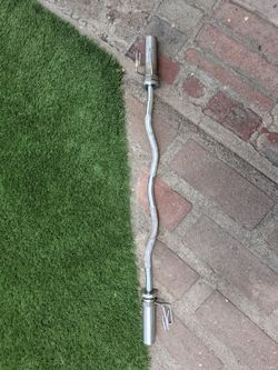 Olympic Curl Bar