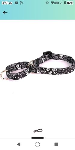 Dog Collar