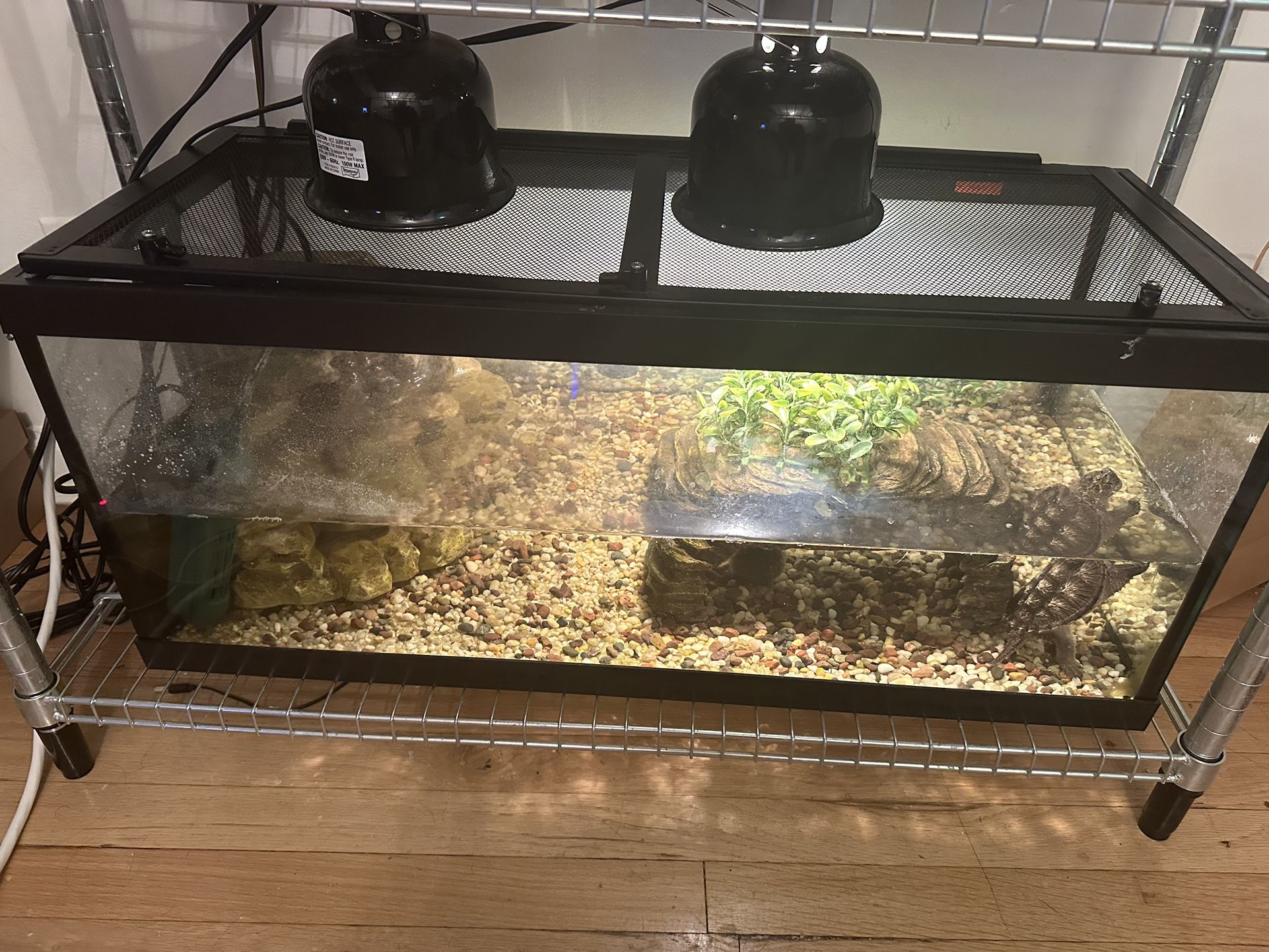 Turtle Tank For Sale 