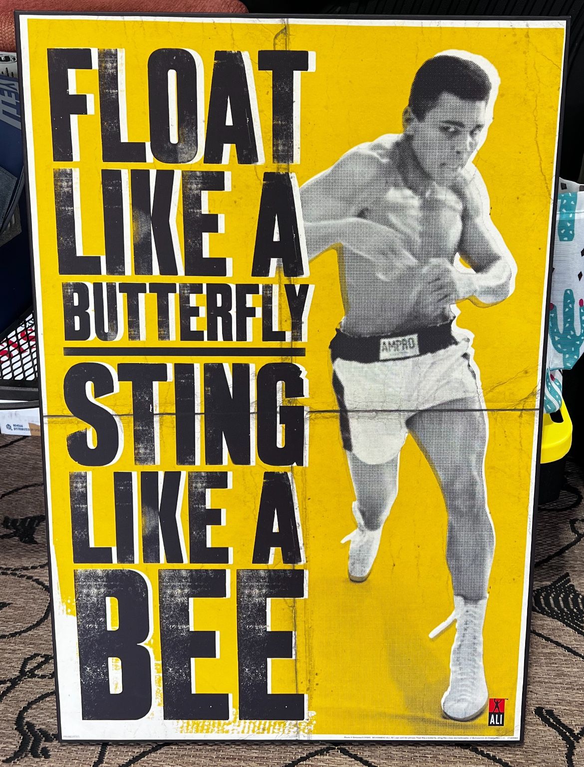 Muhammad Ali Wall Canvas