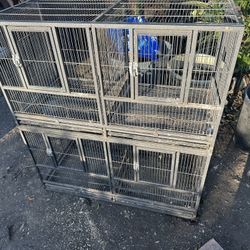 Double Bird Cage