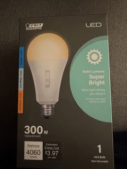 New 300 Watt Equivalent Adjustable LED Light Bulb