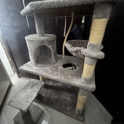Cat Tree And Food