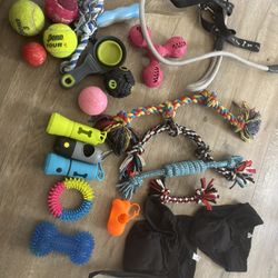 Dog Stuff/ Bundle