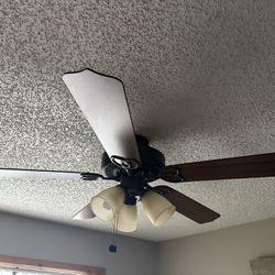 2  ceiling  fans