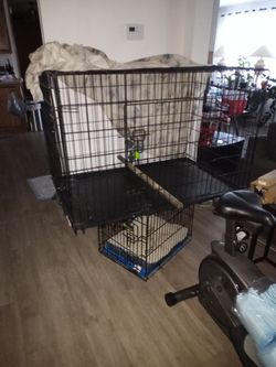 Dog XXL Cage