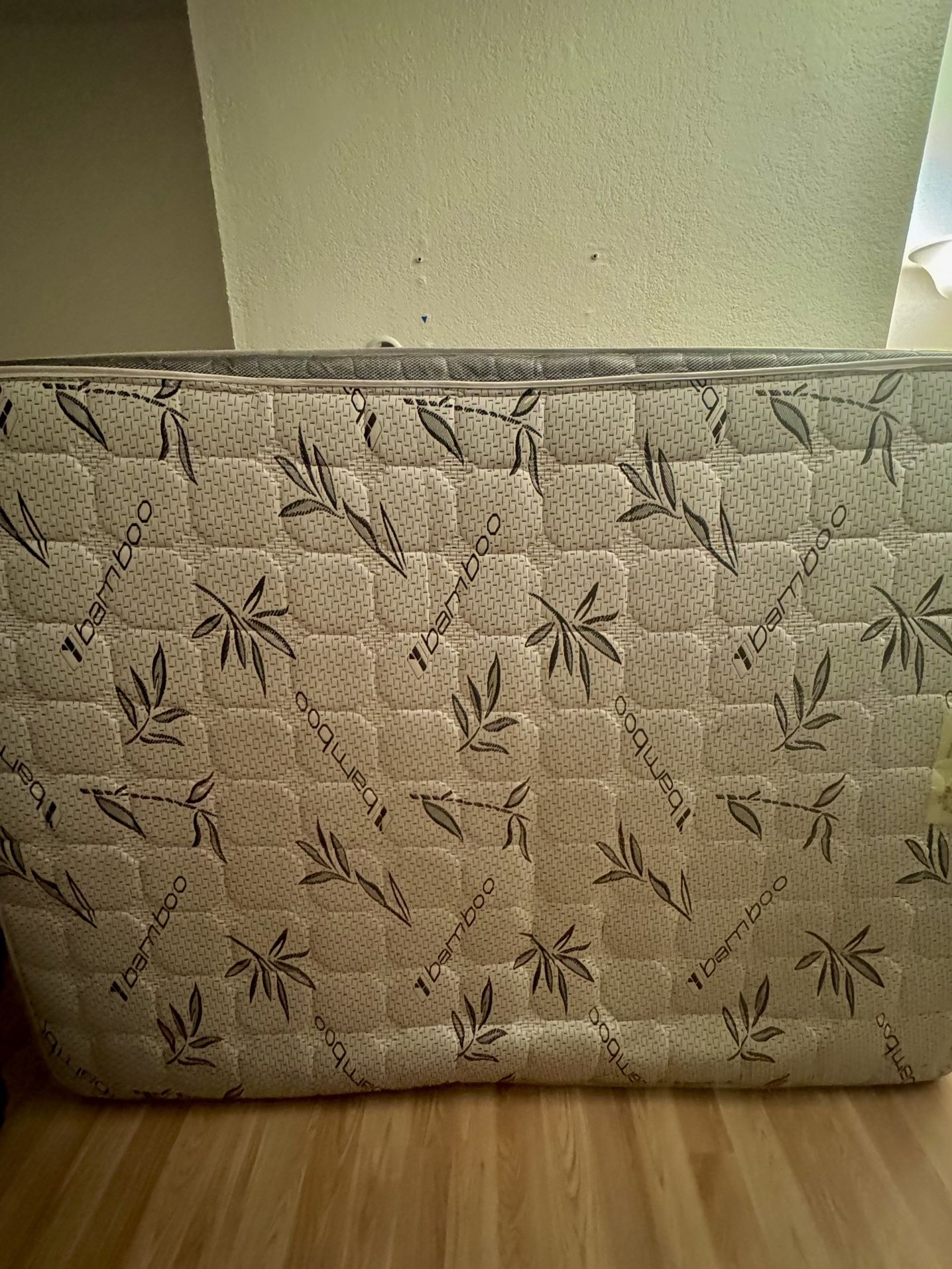 FREE: Mattress and box springs