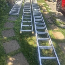 Ladders 