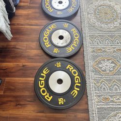 Rogue Weight Plates 