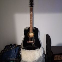 S101 crustic guitar