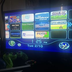 Wii/ Wii U Modding Services