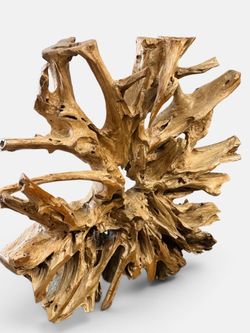 Natural Teak Root Wood Sculpture