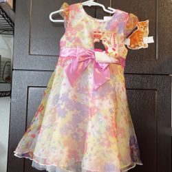 Girl Dress Size4  Todller