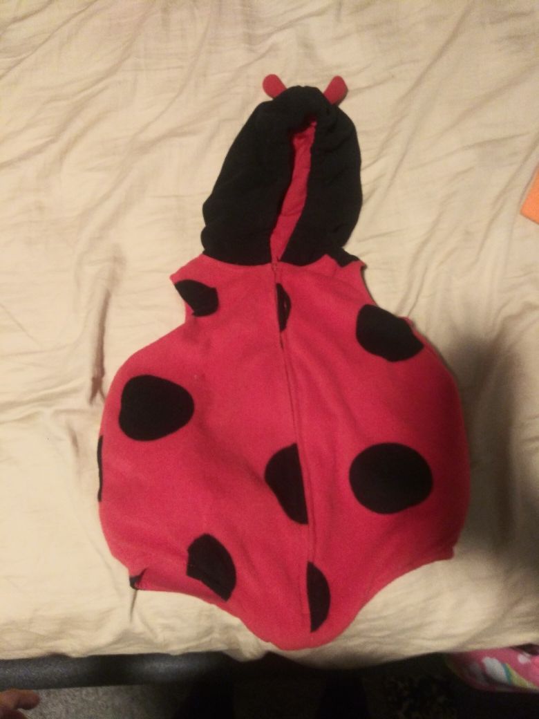 Lady bug costume