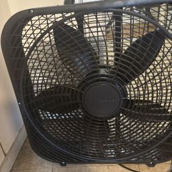 Fans
