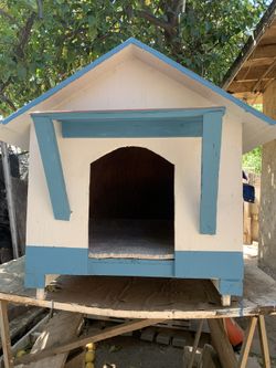 Dog House