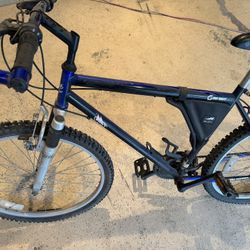 bikes
