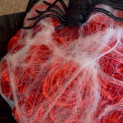 🕷️ Spider Web Ramo – 15ct Red Rose Halloween Bouquet 🎃