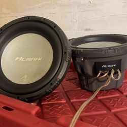 10” Subs Dual 4 Ohms 