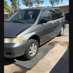 Need Gone 