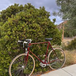 XL Vintage Peugeot Carbolite