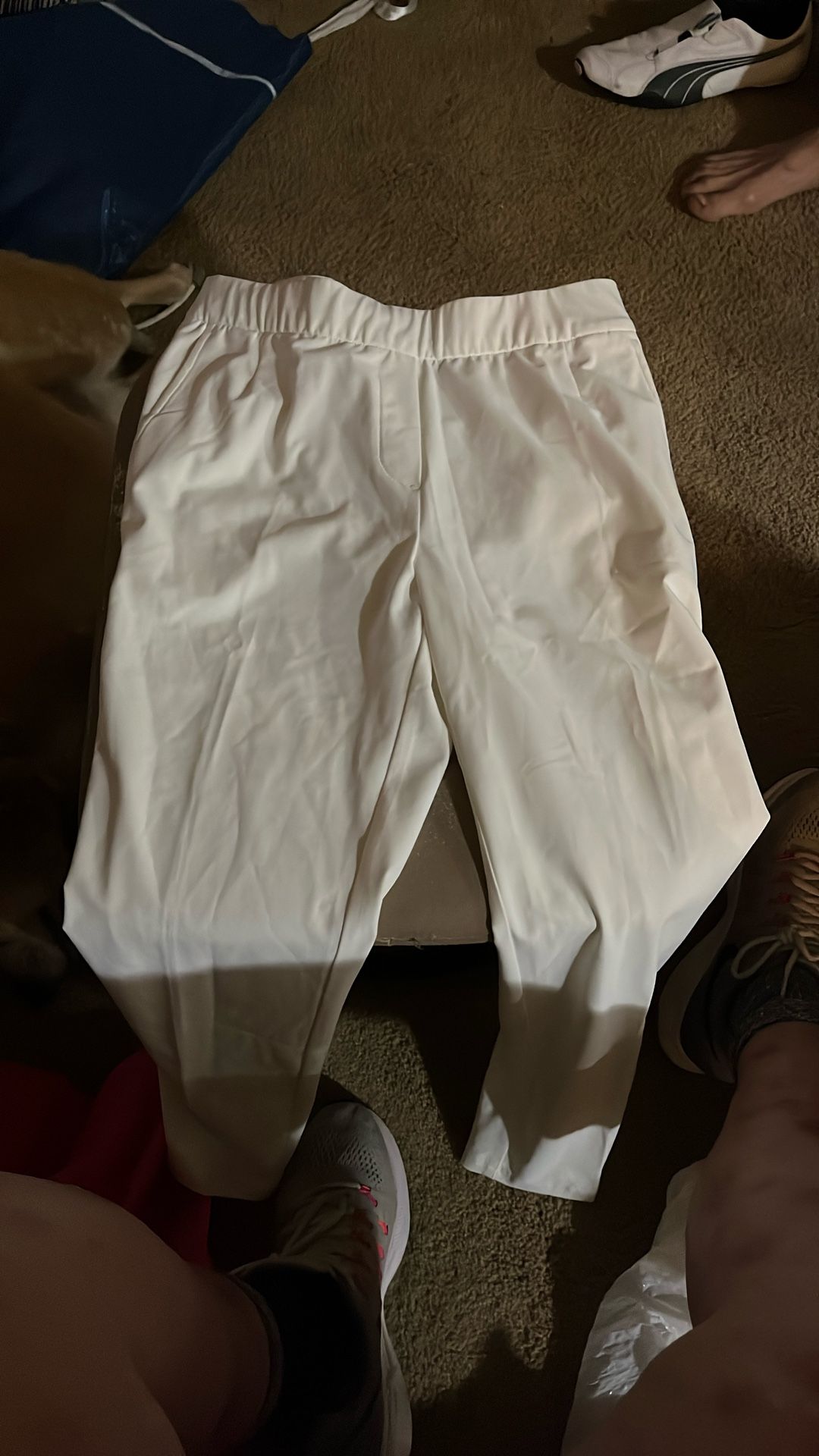 Women. Golf. Dri Fit. Pants.