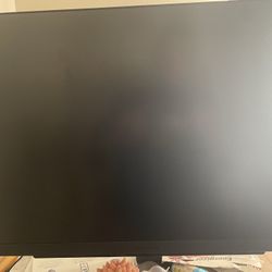 LG Ultra Gear Gaming Monitor 