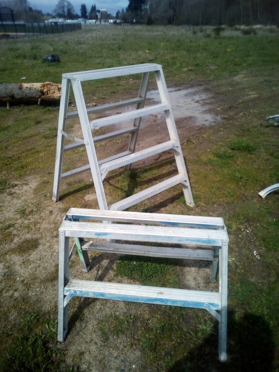 Twin step drywall painter ladders