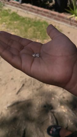 Moissanite stud earrings