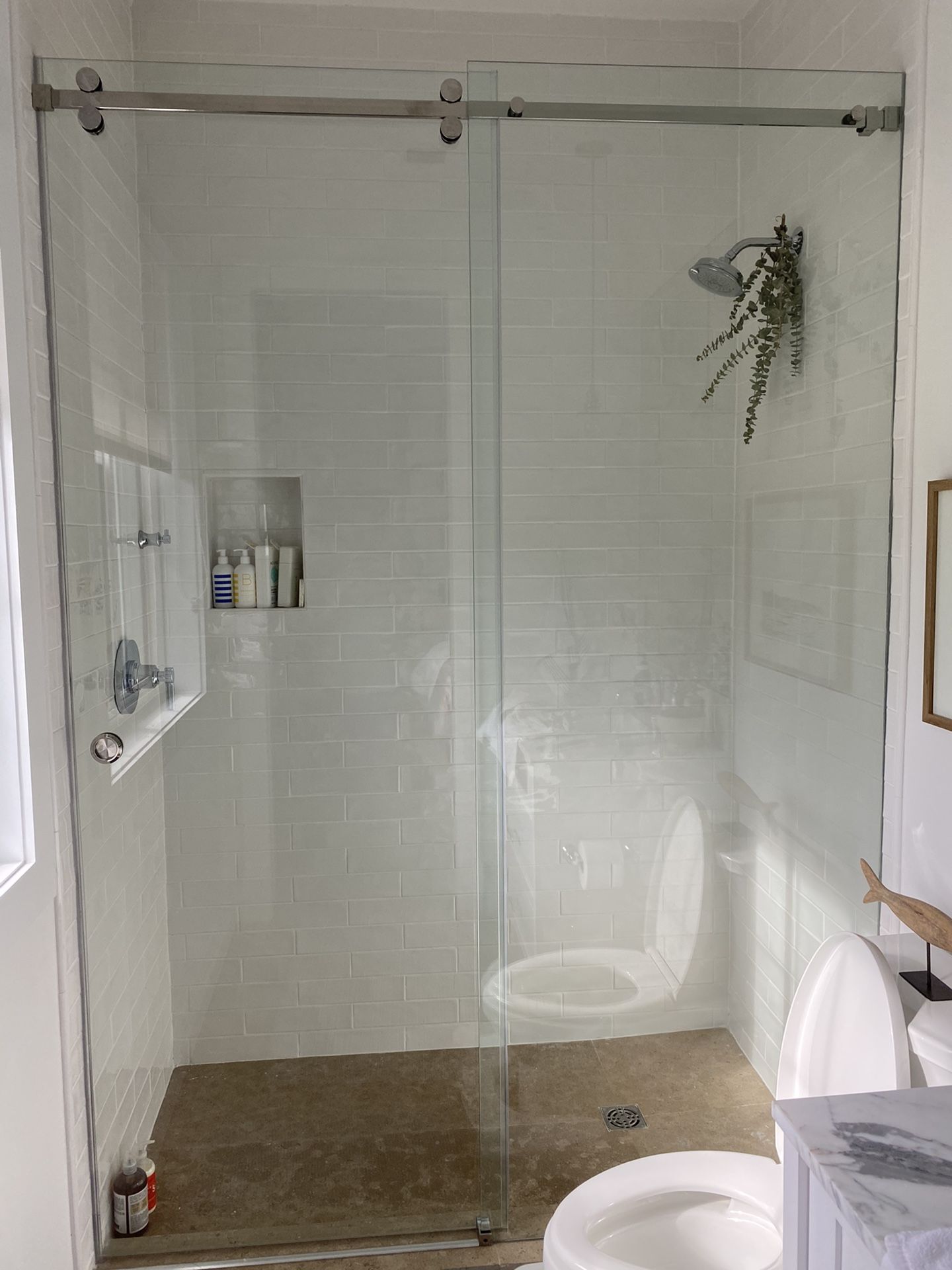 Shower door